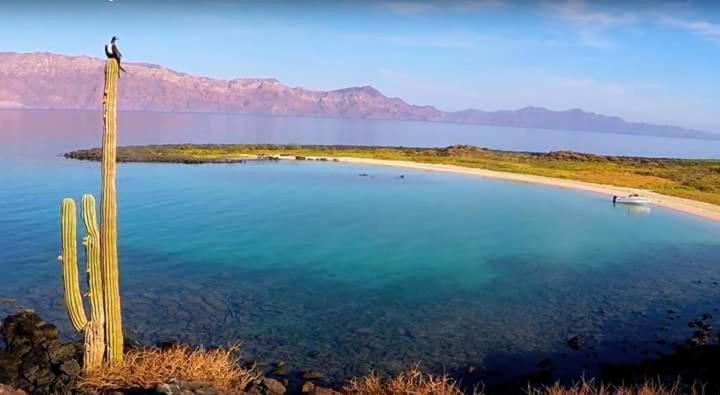 Loreto Playa Boutique Hotel Eksteriør bilde