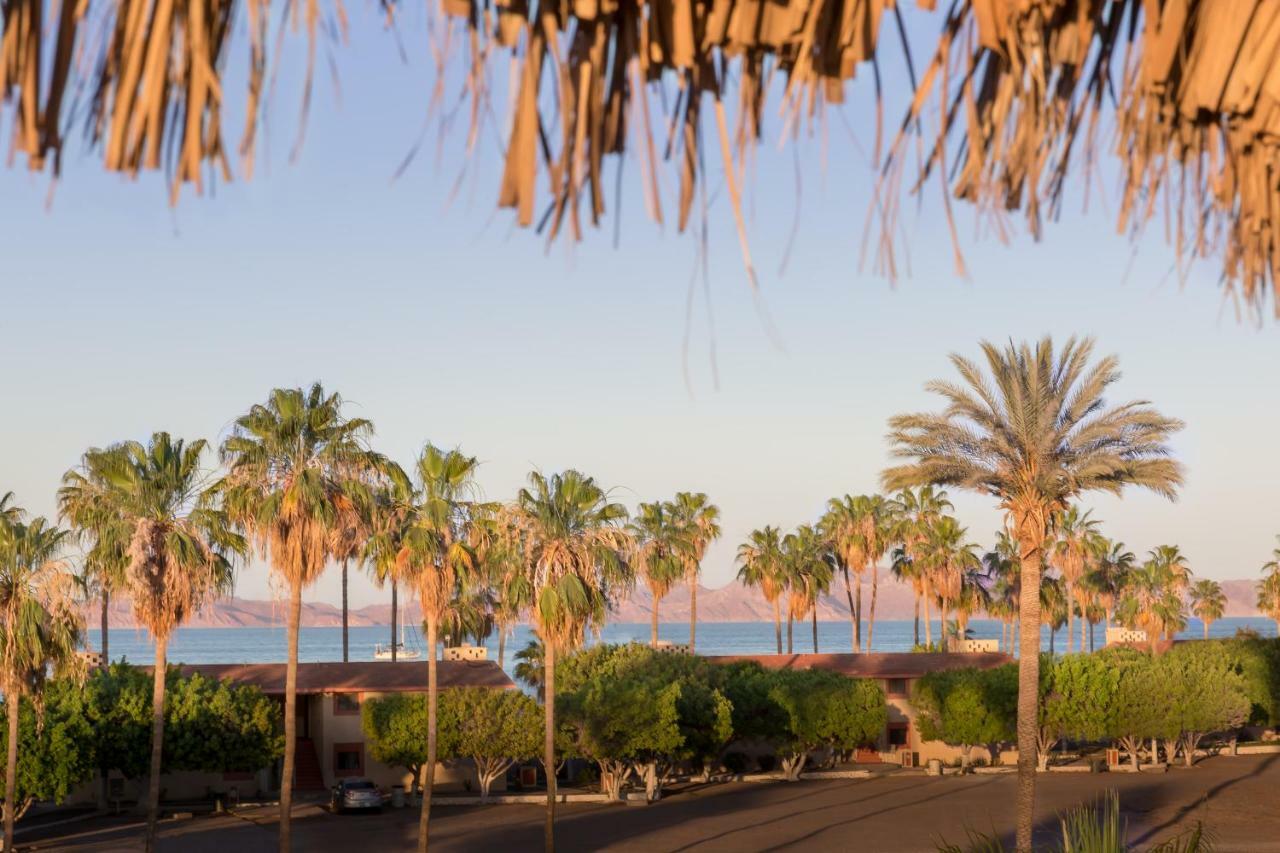Loreto Playa Boutique Hotel Eksteriør bilde